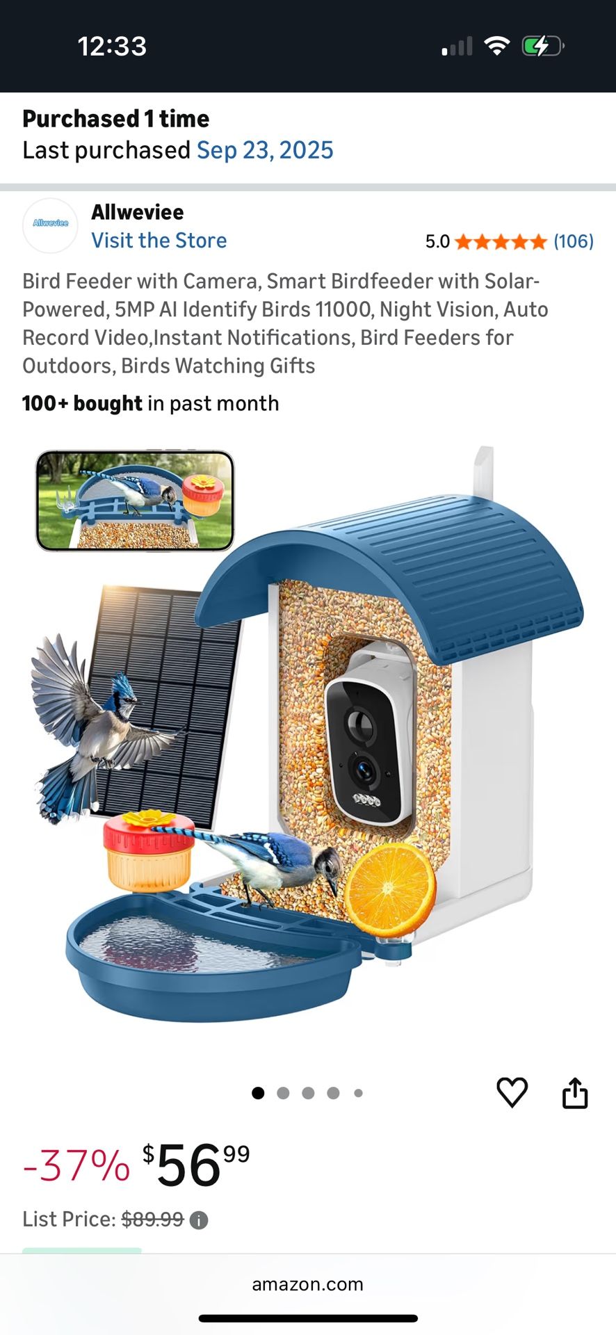 Birdhouse with camera