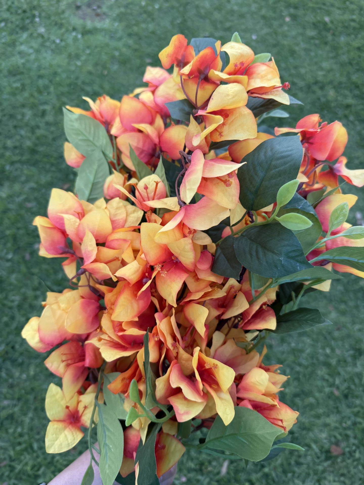 Bougainvillea Stems (artificial)