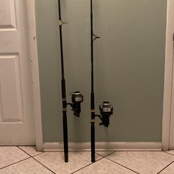 Fishing Rod And Reels