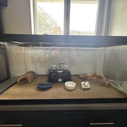 40 Gal Reptile / Full Set-Up