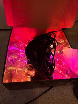 Brand new in box 50ft outdoor color changing string lights