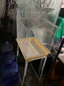 Small Bird Cage $10