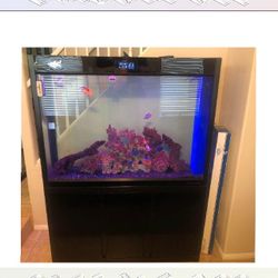 company think Full Aquarium Tank - Spacious & Eye-Catching
