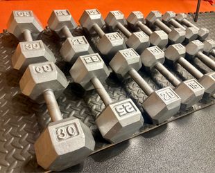 The Couple's Set... Cast Iron Hex Dumbbells: 5s, 8s, 10s, 12s, 15s, 20s, 25s and 30 pounders. Brute W= 250#