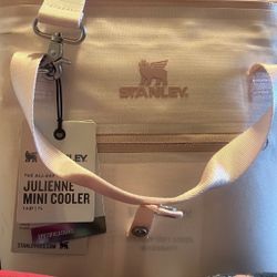 Pink Julienne Mini Cooler 