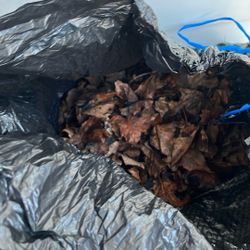 A Bag Of Peaves