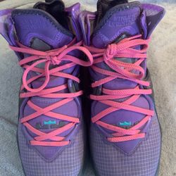 Lebron James X Nike Collaboration Shoes