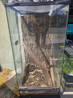 Large Zoo Med Terrarium
