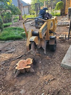 Stump Grinding 