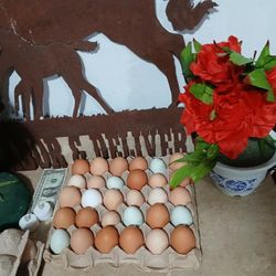 Huevos Frescos/ Fresh Eggs