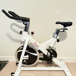 Spin Bike made by Sunny! 