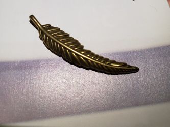 Lucky Brand Charm (NEW)