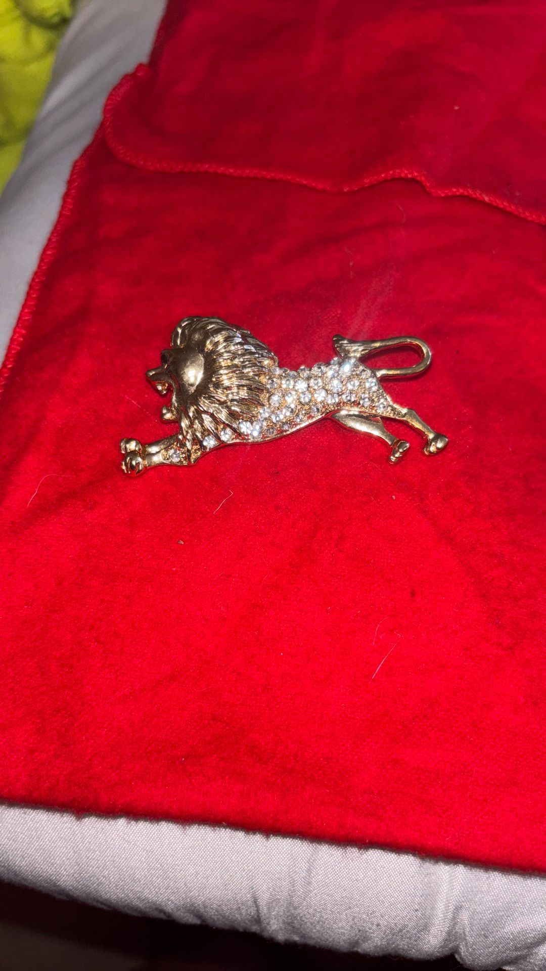 Lion Broach