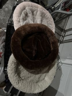Small Dog Cat Bed Preowned 