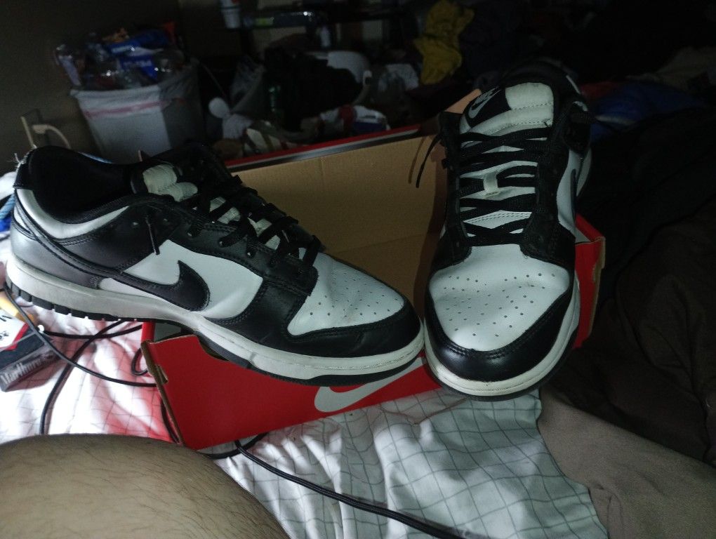 Nike Hardley Used Tempo Dunks