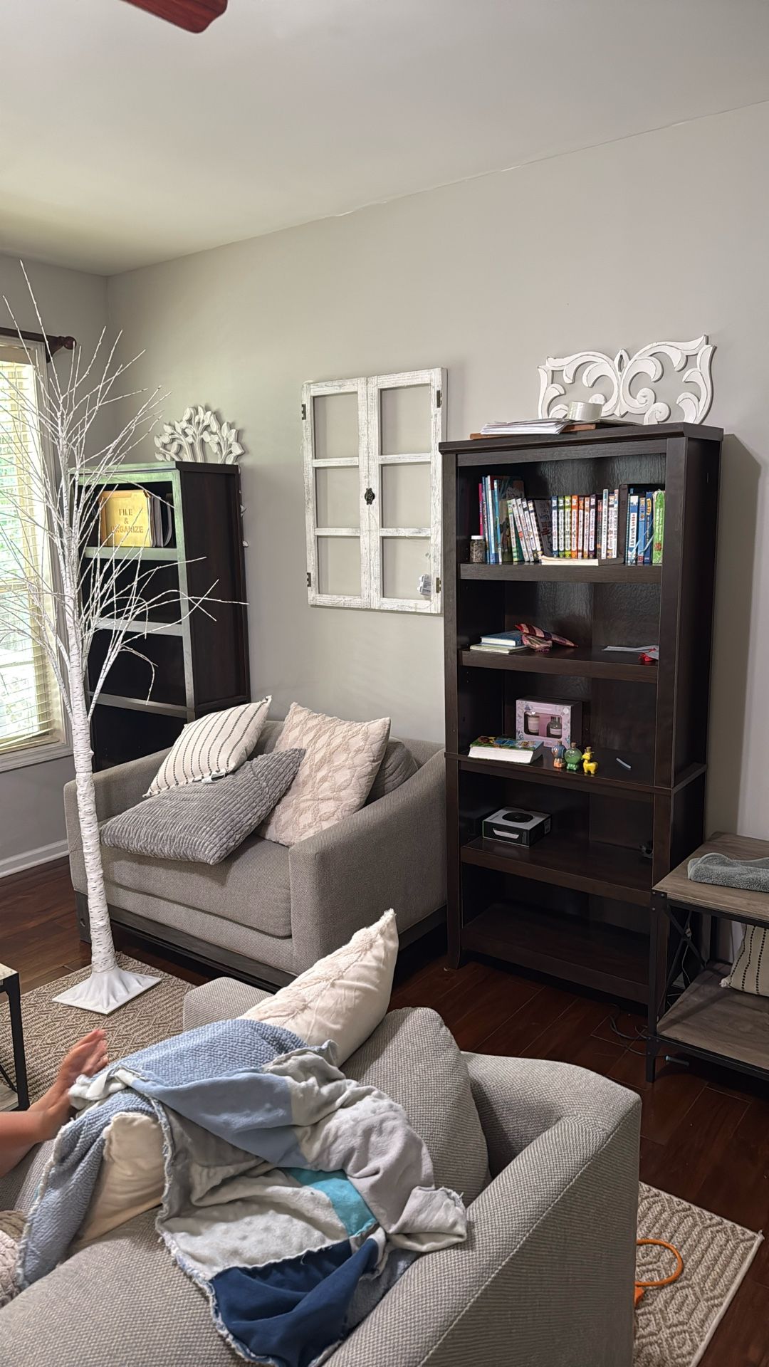 Book Shelves