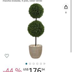 Double box ball topiary in an oval pot, 4 feet, green