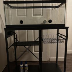 20 Gallon Tank and Stand