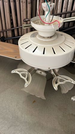 Ceiling Fans (3)