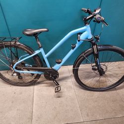 Raleigh Bicycle Misceo IE