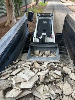 Bobcat mini