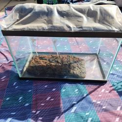 10 Gallon Turtle Tank