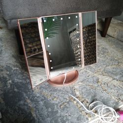 Batter/plug In: Rose Gold Makeup Light Mirror