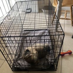 Big dog Cage-Inga- good condition