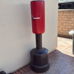 Punching And Kicking Bag