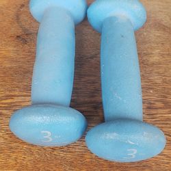 2. 3 Lb  Dumb Bells $10 for both