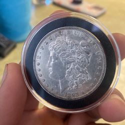 Silver Dollar 
