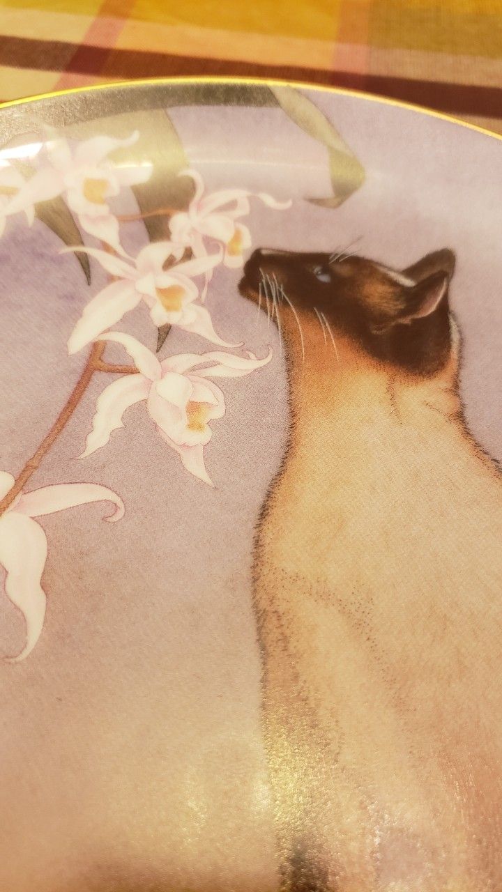 Nose N Bloom