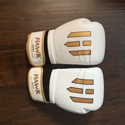 Boxing Gloves