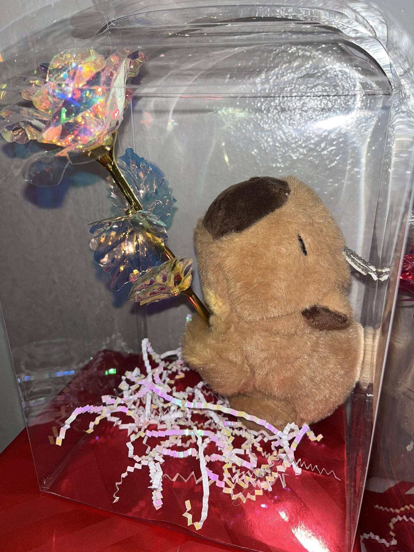 🎁 CAPIBARA 🌹