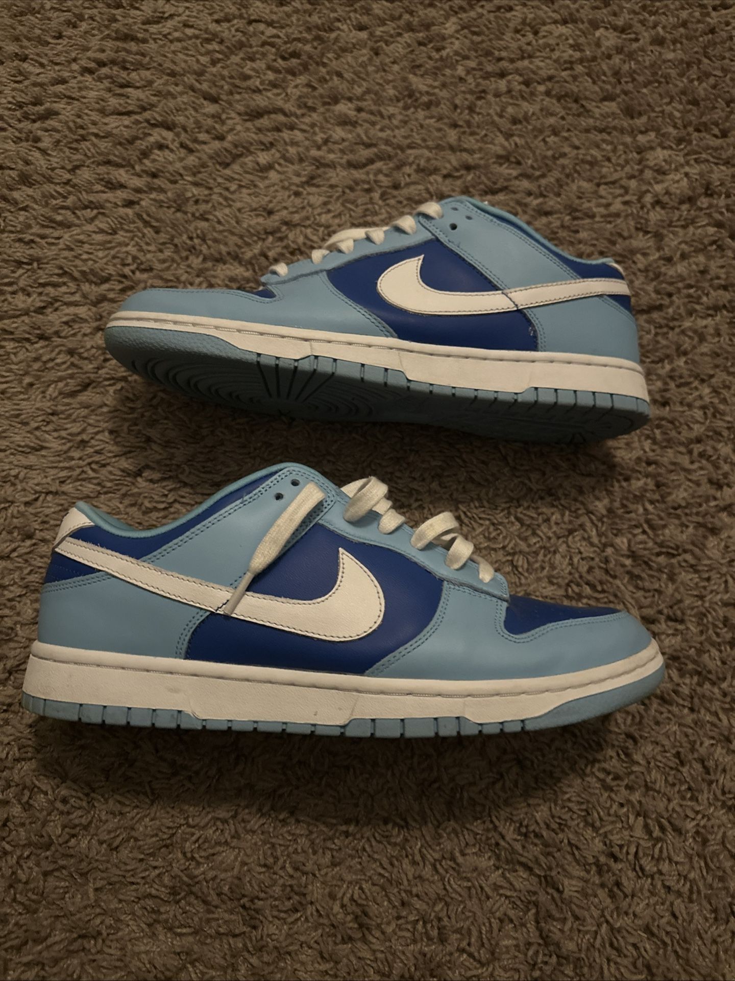 Dunk Low Argon Size 10.5 OG All