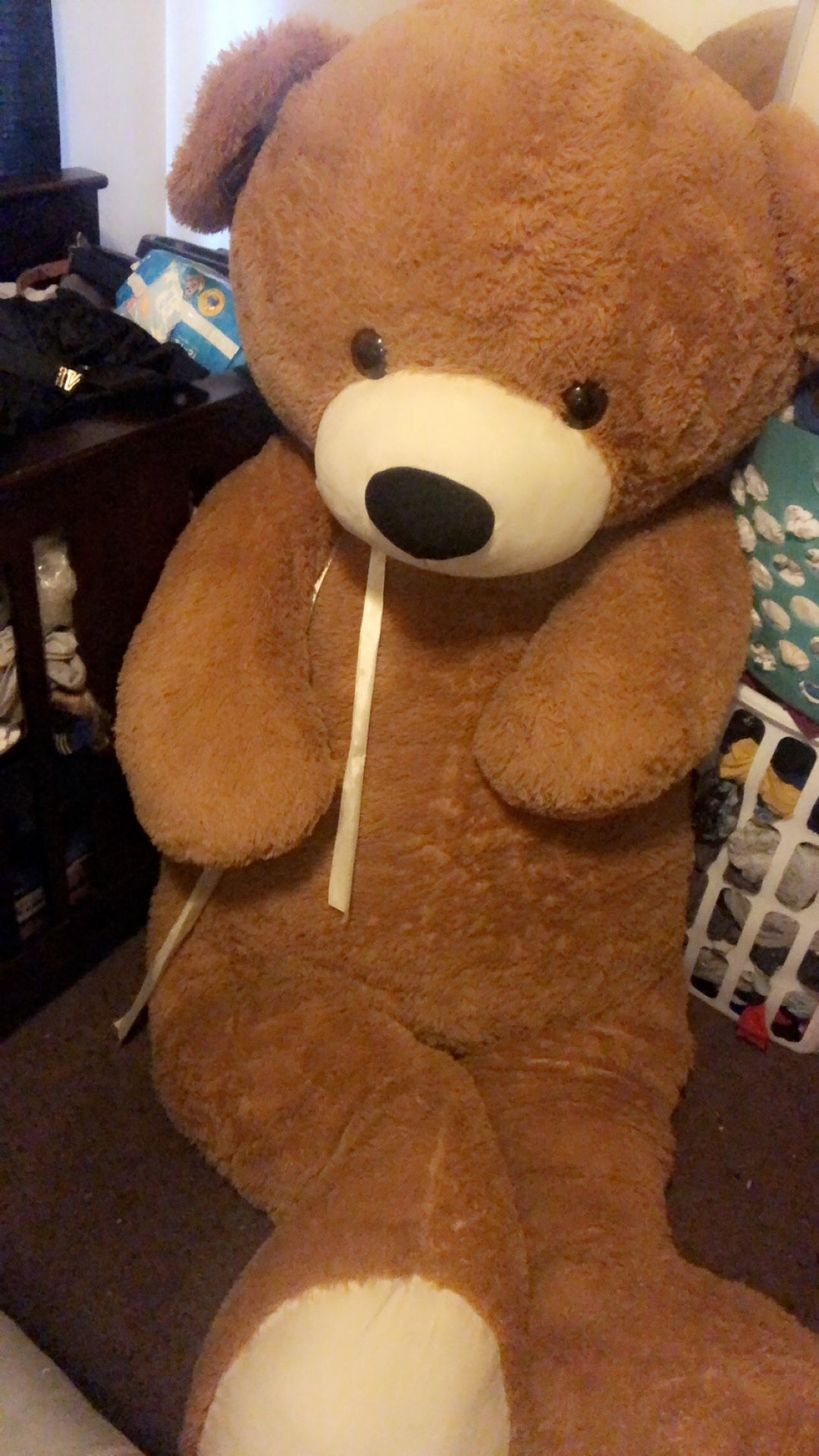 BIG teddy Bear