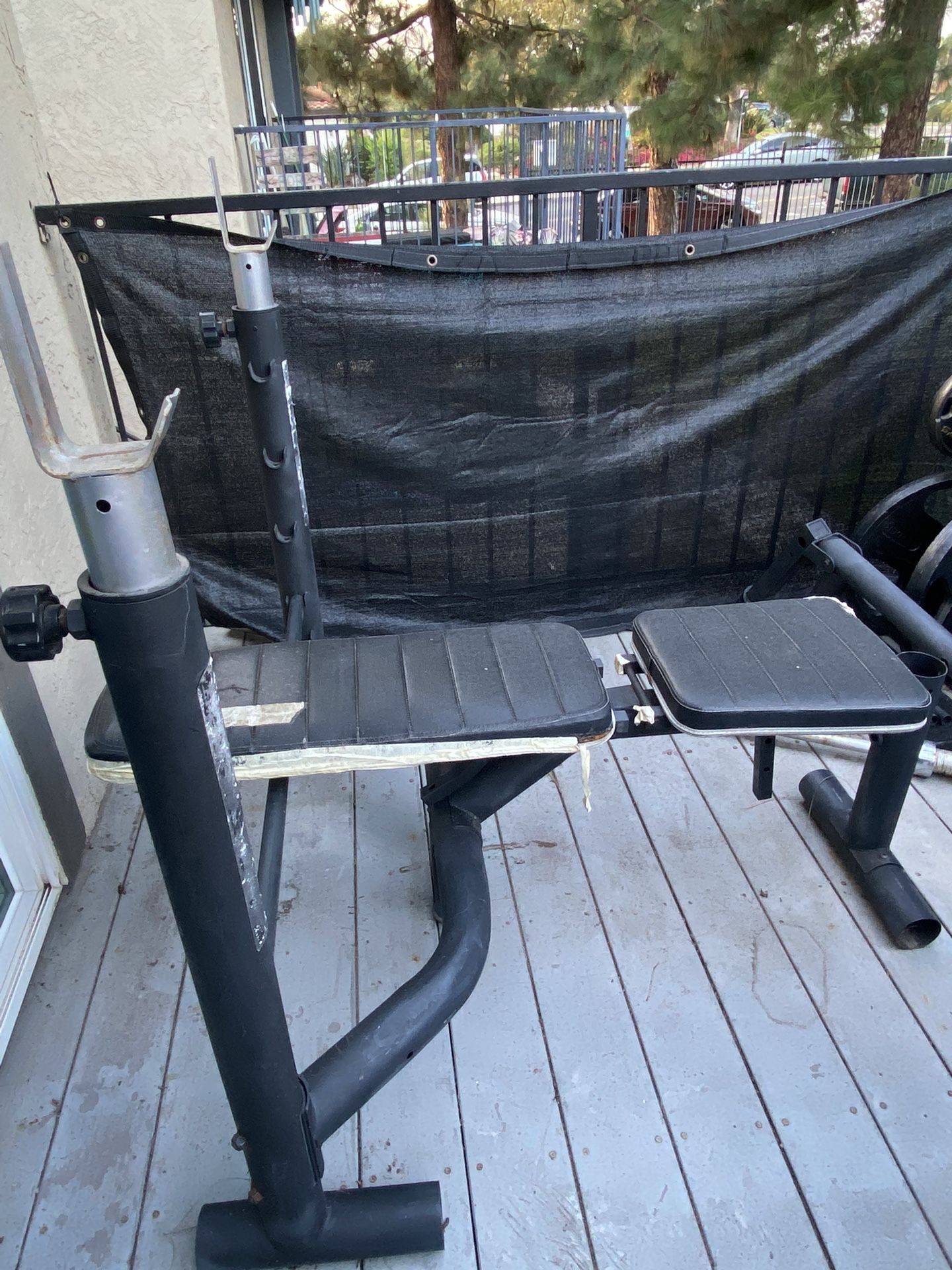 Bench Press