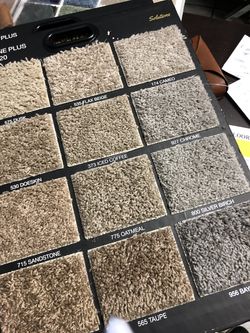 Carpet