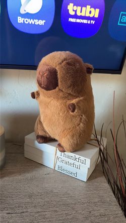 Capybara plushie