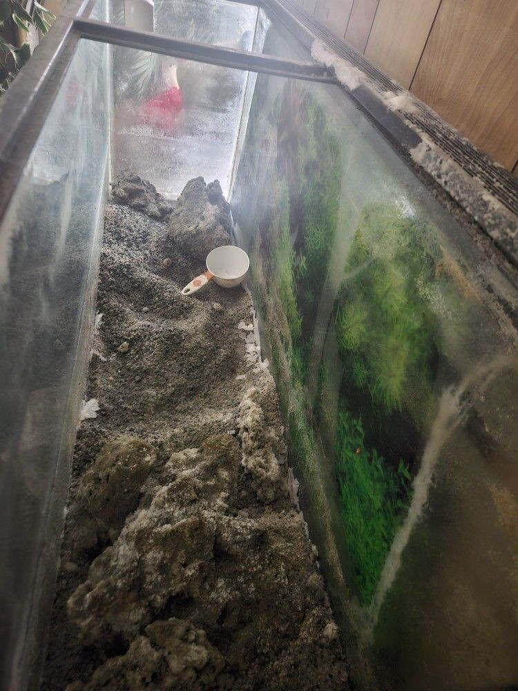 50 Gallon Salt Water Fish Tank Starter Kit