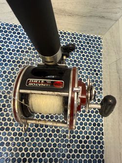Penn Senator 113H2 Rod and Reel