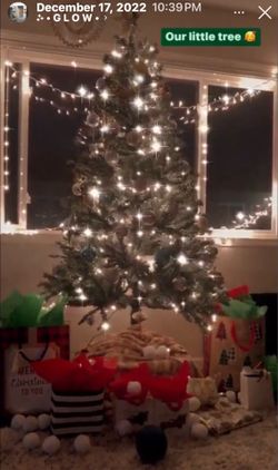 6 ft pre-lit Christmas tree (Holiday Time brand)