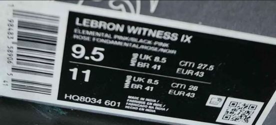 LeBron James  Witness lX