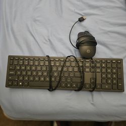 HP Mouse And Keyboard 
