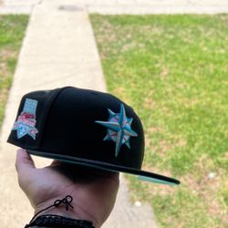 Fitted Hat 7 1/2