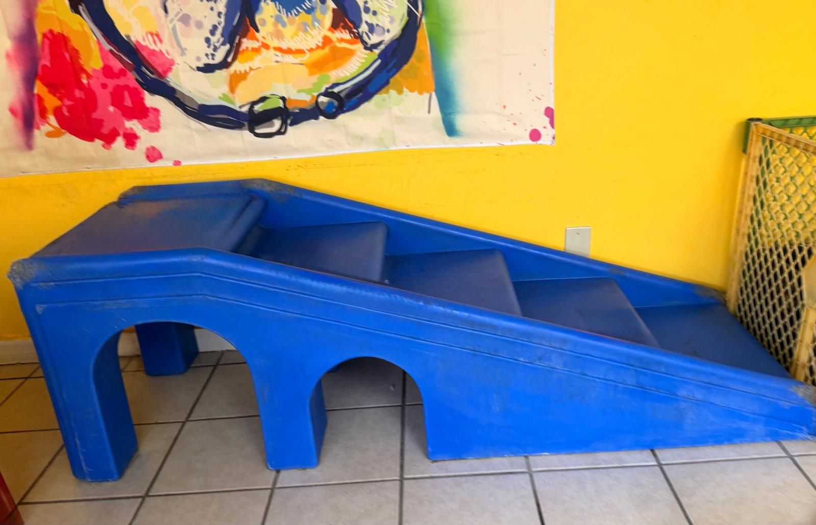 Large Dog Ramp Playground