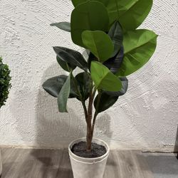 Faux Plant