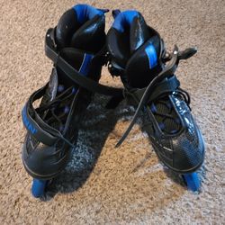 Schwinn Quality Rollers