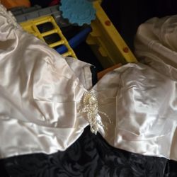Halloween Costume.  Gown