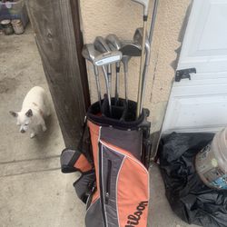 Wilson Golf Bag and clubs 